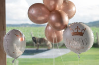 Oversigt: 6 Princesse metalliske latex balloner 30 cm