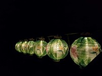 Förhandsgranskning: Tropical Summer Solar Powered Lantern 18cm