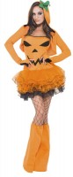 Preview: Seductive pumpkin costume