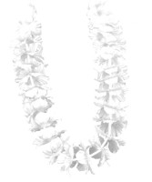 Preview: White Waikiko Hawaiian necklace