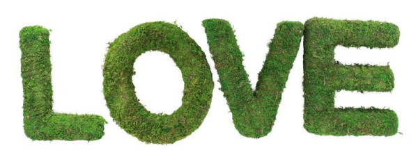 Moss letters - LOVE - 20cm