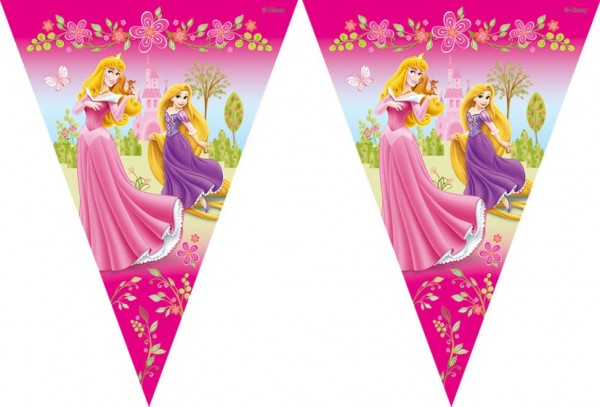 Prinsessen droomwimpel ketting vlag banner 300cm