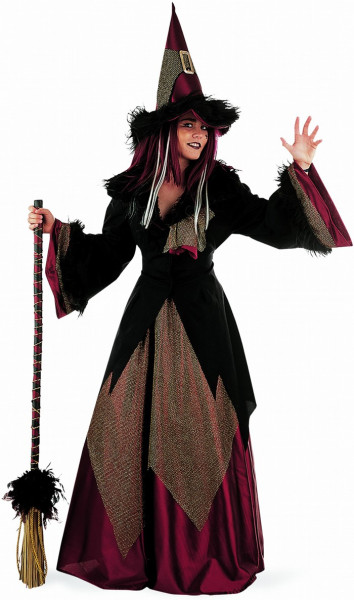 Black forest witch costume