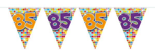 Groovy 85th Birthday pennant chain 3m