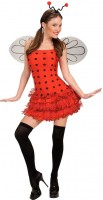 Preview: Sexy ladybug Miffy ladies costume