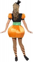 Preview: Funny Halloween pumpkin costume