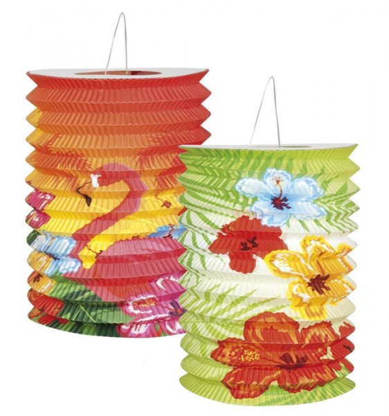 2 farverige Hawaii-lanterner 25 x 16 cm
