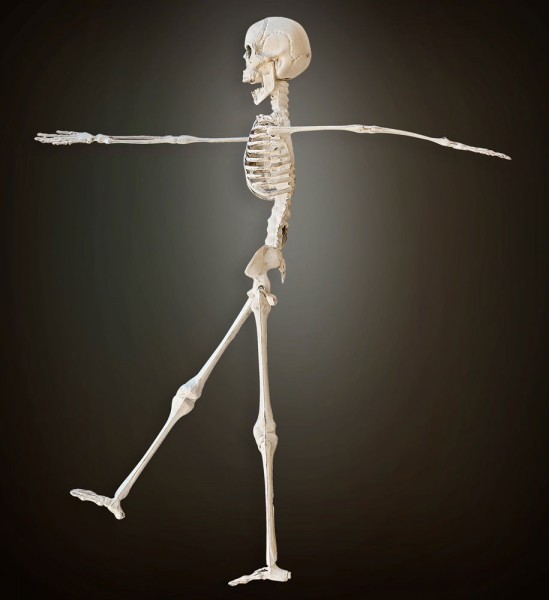 Figurine de décoration squelette 40cm