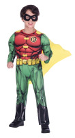 Robin licens dreng kostume