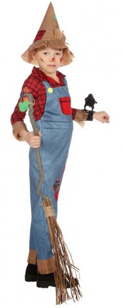 Scarecrow Strolchi child costume