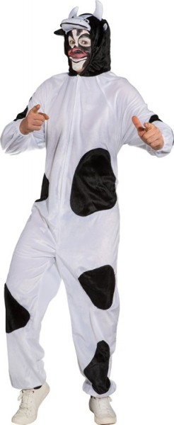 Holy Cow vaca en general
