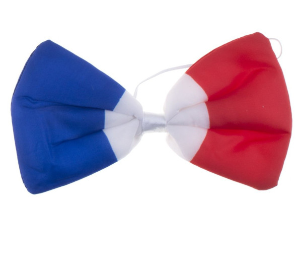 France World Cup fly