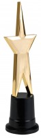 Star Award 22 cm goud-zwart