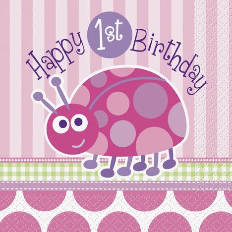 16 Ladybug Melodys fødselsdags servietter 33cm