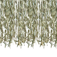 Botanical Blätterband Vorhang