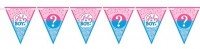 Gender Reveal Pennant Chain 4,5 m