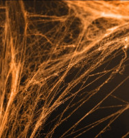 Spooky edderkopweb i orange 60g