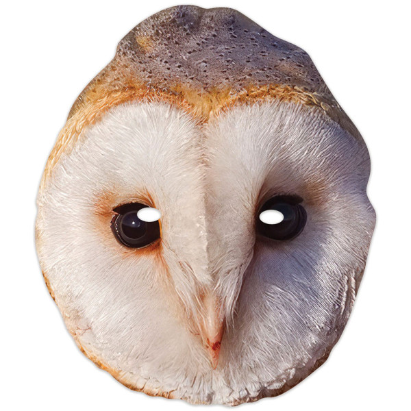 Owl mask made of cardboard
