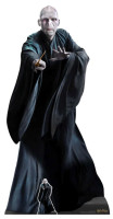 Vista previa: Figura de cartón Lord Voldemort 1,84m