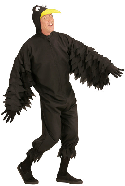 Raven Renato men's costume
