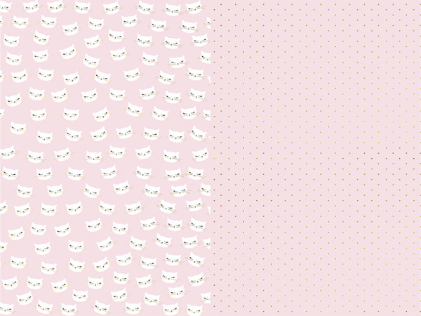 2 carte regalo rosa gattini