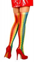 Rainbow overknee stockings 70DEN