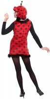 Vista previa: Disfraz de Ladybug Katja para mujer