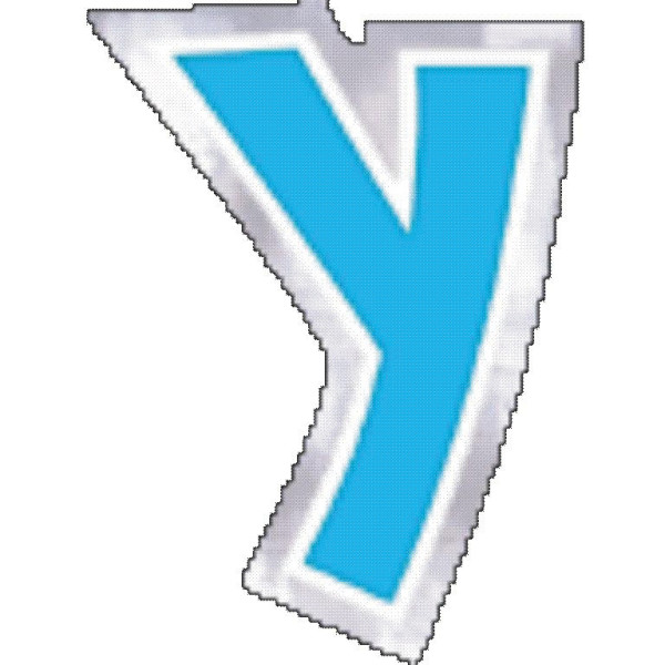 48 balloon stickers letter Y