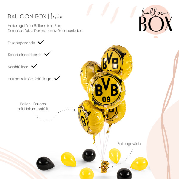 Heliumballon in a Box BVB 09 3