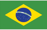 Bandera Abanico Brasil 90 x 150 cm