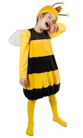 Voorvertoning: Origineel kostuum van bijen Willi voor kinderen