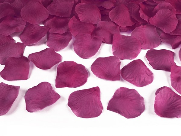 100 petali di rosa in rosa scuro