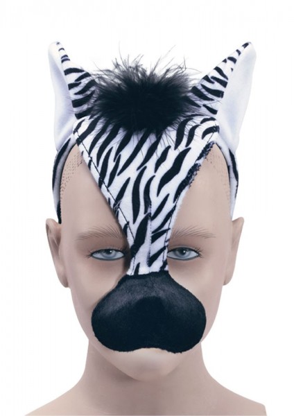Zebra sound mask