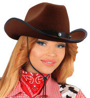 Widok: Brązowy kowbojski zachodni kapelusz