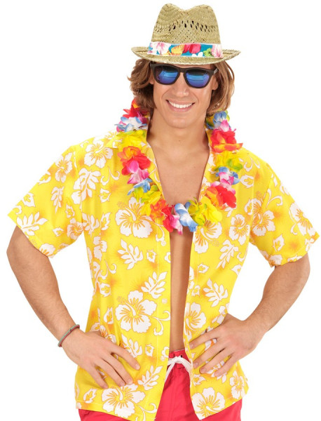 Beachboy stråhat med farverigt bånd 2