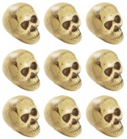 9 Memento Mori schedel decoratiefiguren 5cm