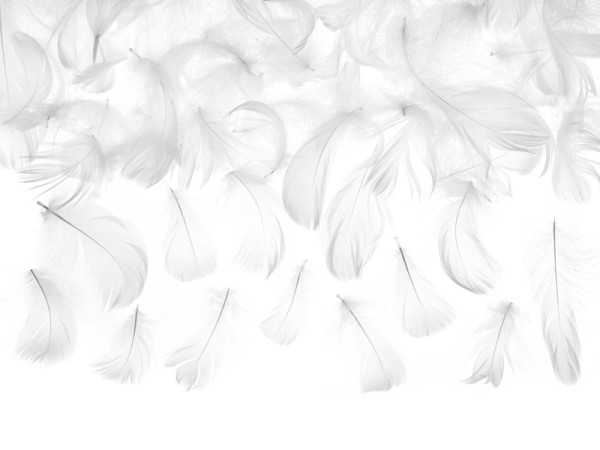 3g dekorative fjer hvide 5-8cm