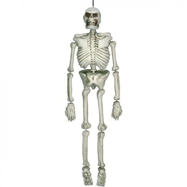 Lebensgroßes Skelett Hängedeko