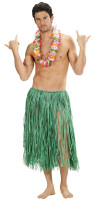 Aperçu: Collier de fleurs colorées d'Hawaï