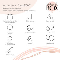 Vorschau: Balloha Geschenkbox DIY Bestandene Prüfung XL