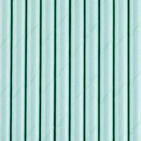 Aperçu: 10 pailles en papier turquoise 19,5 cm