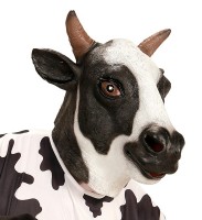 Kaya cow full face mask