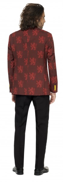 OppoSuits party suit Harry Potter