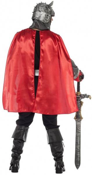 Knight Lionheart Men Costume 2