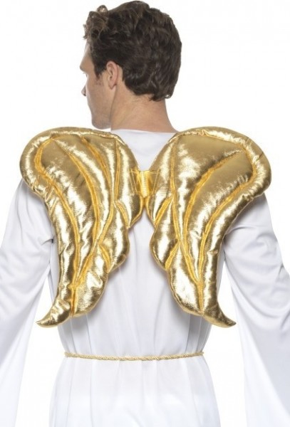 Heavenly gold wings