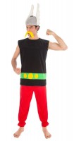 Preview: Asterix costume for men