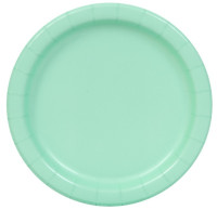 16 mint green paper plates 22cm