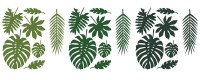 21 tropical palm leaves in 7 shapes