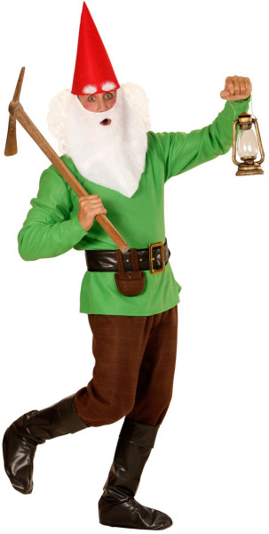 Gregor garden gnome men's costume