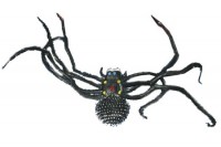 Oversigt: Skræmmende edderkop Demonic